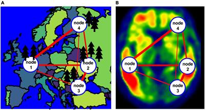 Individualized network analysis: A novel approach to investigate tau PET using graph theory in the Alzheimer’s disease continuum